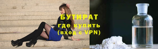 дживик Ельня