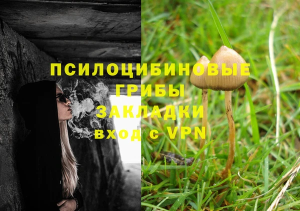 apvp Абдулино